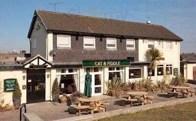 Cat & Fiddle