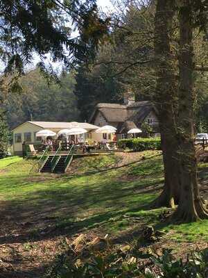 Shearwater Lake Tearooms