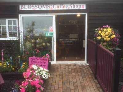 Blossoms Coffee Shop