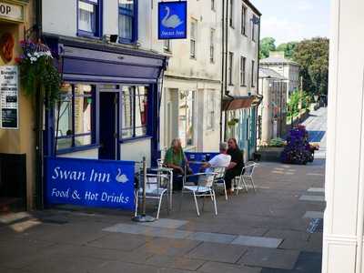 The Swan