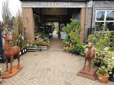 Lime Cross Nursery Cafe