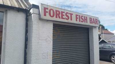 Forest Fish Bar