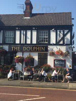 The Dolphin