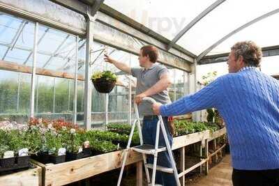 Wyatts Plant Centre And Cotswold View Coffee Shop