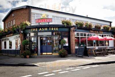 The Ash Tree