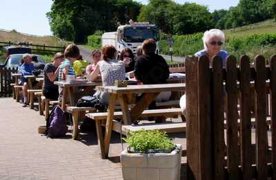 Lillypool Farm And Cafe