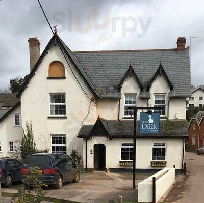 The Duck At Yeoford