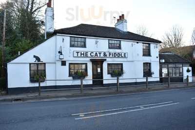 The Cat & Fiddle