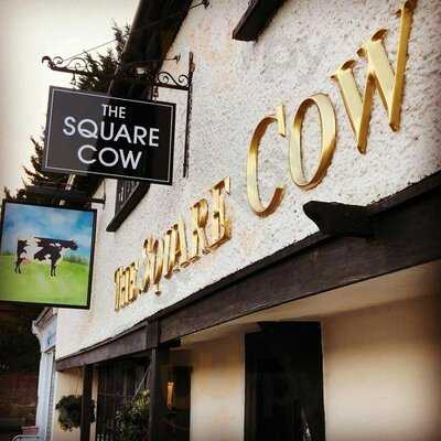 The Square Cow