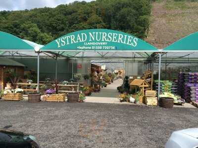 Ystrad Nurseries