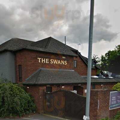 Swans