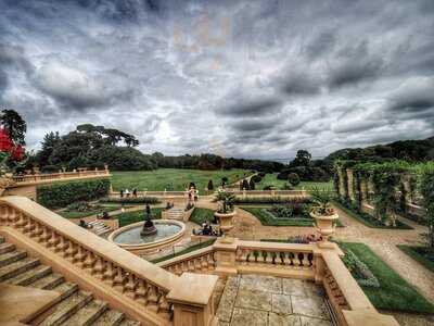 The Cafe Osborne House