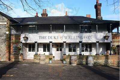 The Duke Of Wellington