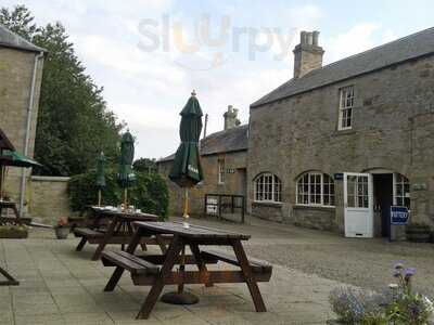 Hirsel Cottage Tearoom