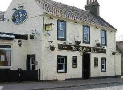 The Black Bull