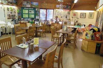 Thornley Woodlands Cafe