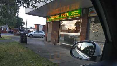 Money Tree