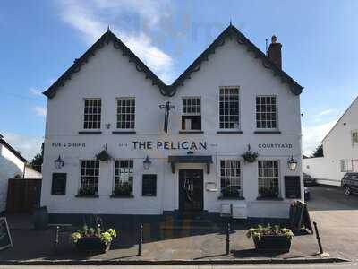 The Pelican