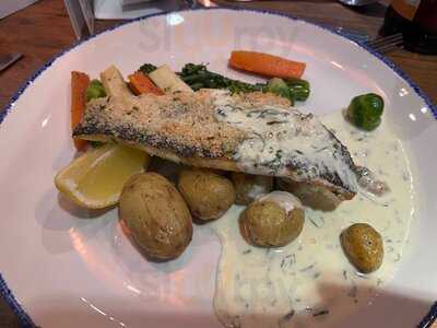 Kingfisher on the Quay