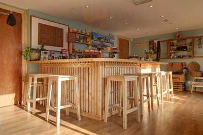 The Little Red Beetle