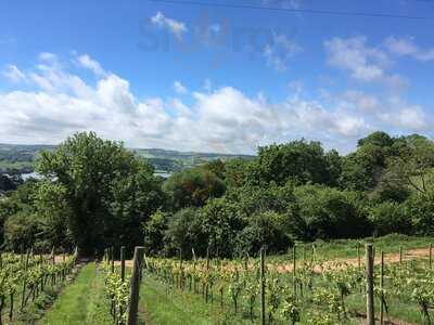 Old Walls Vineyard