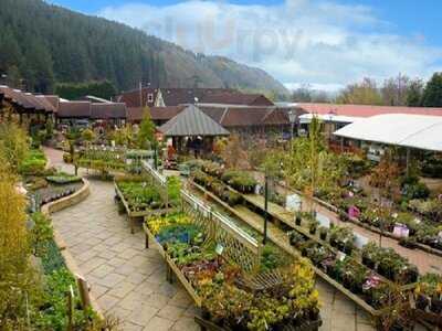 Cardwell Garden Centre Cafe