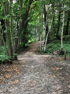 Shorne Woods Cafe