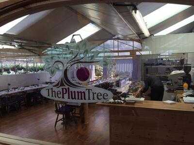 The Plum Tree Tea Rooms