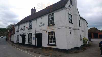 The Swan