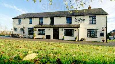 The Swan