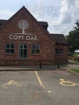 Copt Oak