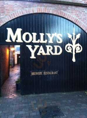 Molly's Yard