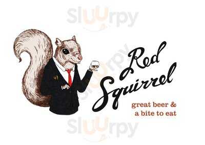 Red Squirrel