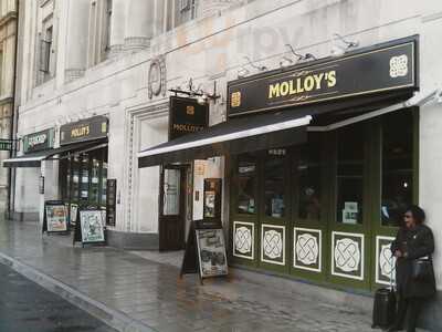 Molloy's Bristol