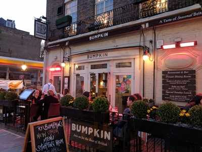 Bumpkin Chelsea