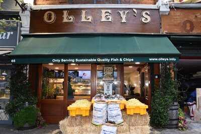 Olley's Fish Experience