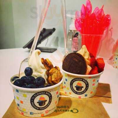 The Sloane Brothers Frozen Yoghurt Co