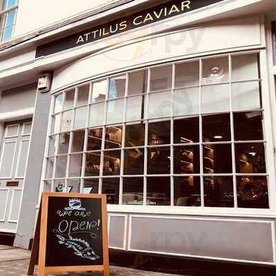 Attilus Caviar