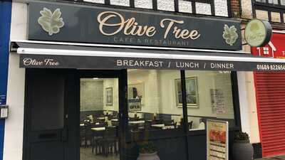 Olive Tree Restaurant