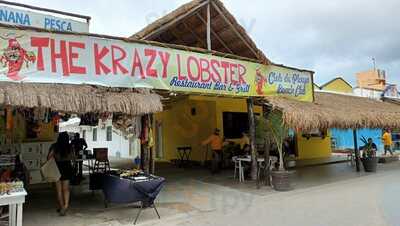 The Krazy Lobster