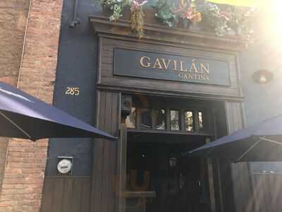 Gavilán Cantina