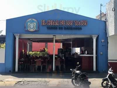 El Cesar De Los Tacos