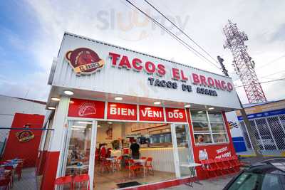 Tacos El Bronco