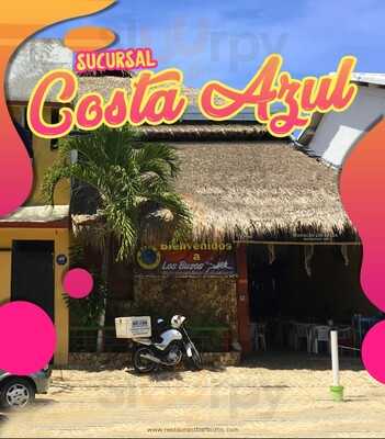 Los Buzo's Costa Azul