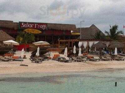 Senor Frogs Costa Maya