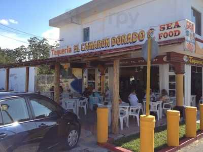 Taqueria El Camaron Dorado