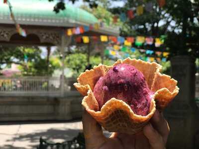 Helados Tierra Maya