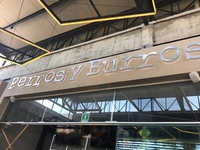 Perros Y Burros Forum Cuernavaca