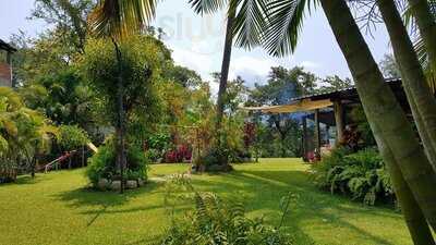 Restaurant Mi Jardin