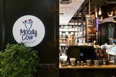 Moody Cow